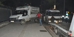 KEDİYE ÇARPMAMAK İÇİN KALDIRIMA ÇIKTI