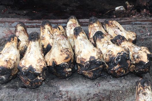 Hayvanın başından yapılan kelle paça çorbasının antibiyotik etkisinin olduğunu biliyor