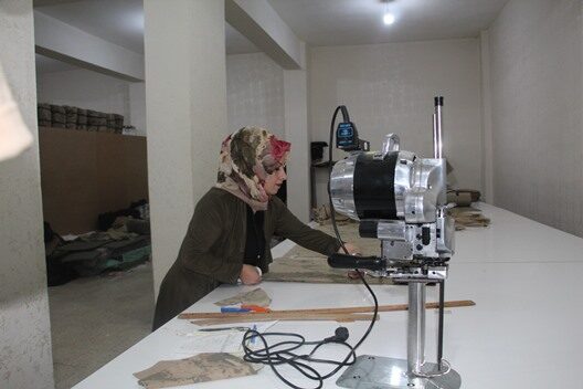Siirt kent merkezinde Küçük ve Orta Ölçekli İşletmeleri Geliştirme ve