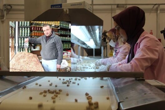 Türkiye’de kuraklığın etkili olduğu sezonda Siirt fıstığı da nasibini aldı.
