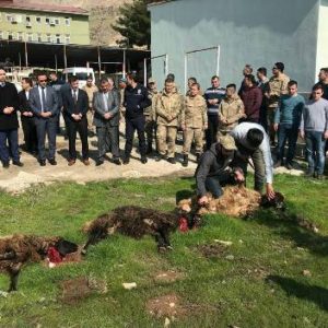 Şirvan’da, Türk Silahlı Kuvvetleri (TSK)’nın, Türkiye hudutlarında güvenlik ve istikrarı
