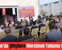 Kurtalan’da Çiftçilere Mercimek Tohumu Desteği