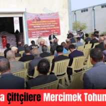 Kurtalan’da Çiftçilere Mercimek Tohumu Desteği
