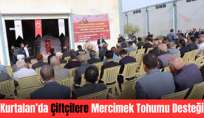 Kurtalan’da Çiftçilere Mercimek Tohumu Desteği