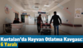 Kurtalan’da Hayvan Otlatma Kavgası: 6 Yaralı