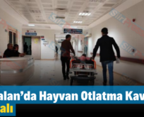 Kurtalan’da Hayvan Otlatma Kavgası: 6 Yaralı