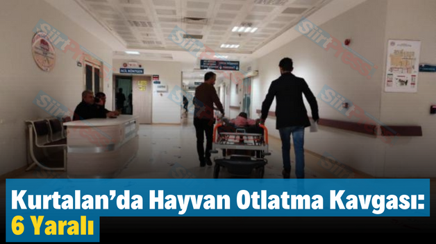 Kurtalan’da Hayvan Otlatma Kavgası: 6 Yaralı