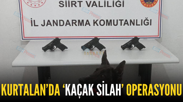 KURTALAN’DA ‘KAÇAK SİLAH’ OPERASYONU