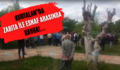 Kurtalan’da Zabıta İle Esnaf Arasında Kavga!…