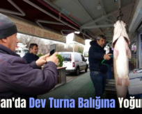 Kurtalan’da Dev Turna Balığına Yoğun İlgi!..