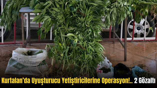 Kurtalan’da Uyuşturucu Yetiştiricilerine Operasyon!.. 2 Gözaltı