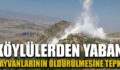 KÖYLÜLERDEN YABAN HAYVANLARININ ÖLDÜRÜLMESİNE TEPKİ