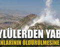 KÖYLÜLERDEN YABAN HAYVANLARININ ÖLDÜRÜLMESİNE TEPKİ