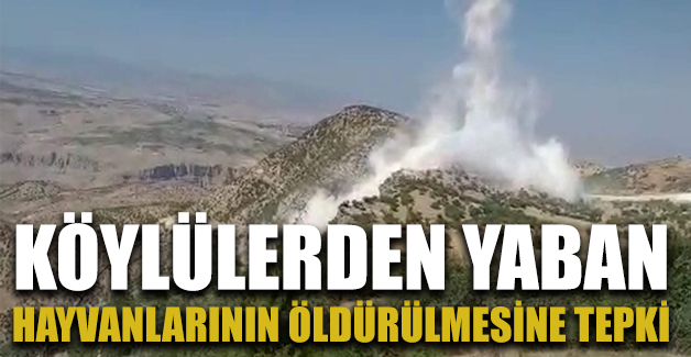 KÖYLÜLERDEN YABAN HAYVANLARININ ÖLDÜRÜLMESİNE TEPKİ