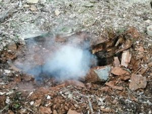 Siirt İl Jandarma Komutanlığına bağlı ekiplerce Baykan ilçe kırsalı ve