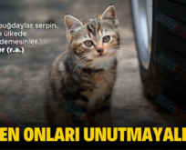 LÜTFEN ONLARI UNUTMAYALIM!…