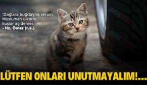 LÜTFEN ONLARI UNUTMAYALIM!…