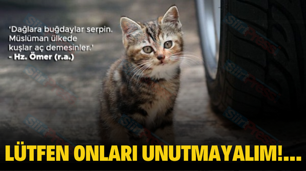 LÜTFEN ONLARI UNUTMAYALIM!…