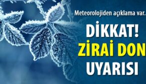 METEOROLOJİDEN SİİRT’E DON UYARISI