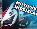 SİİRT’TE MOTOSİKLET HIRSIZI 5 KİŞİ TUTUKLANDI