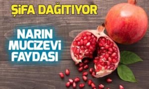 Narın faydaları nelerdir? sorusunun cevabı saymakla bitmiyor. Kilo problemine önlem