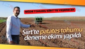 Siirt’te ‘Niğde Patates Tohumu’ Deneme Ekimi Yapıldı