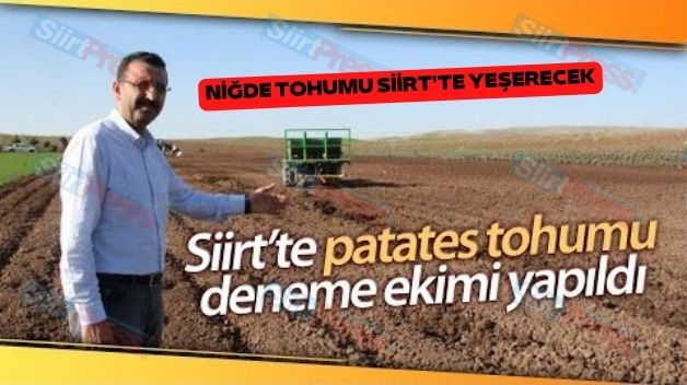 Siirt’te ‘Niğde Patates Tohumu’ Deneme Ekimi Yapıldı