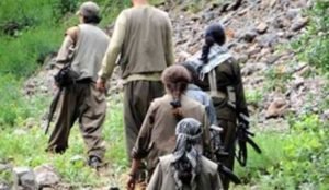 &nbsp; Siirt’te etkisiz hale getirilen 5 teröristten 3’ünün TPAO çalışanlarının