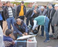 BOTAN BALIĞI VE KÖY TAVUĞU’NA YOĞUN RAĞBET VAR