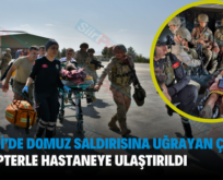 Pervari’de Domuz Saldırısına Uğrayan Çoban Helikopterle Hastaneye Ulaştırıldı