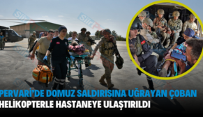 Pervari’de Domuz Saldırısına Uğrayan Çoban Helikopterle Hastaneye Ulaştırıldı