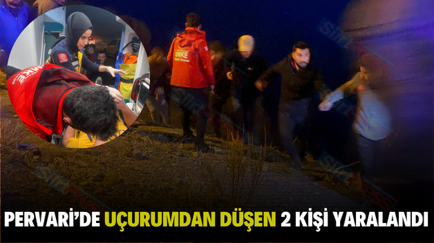 Pervari’de Uçurumdan Düşen 2 Kişi Yaralandı