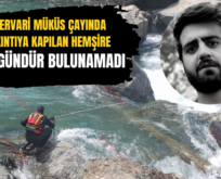 Pervari Müküs Çayında Akıntıya Kapılan Hemşire 52 Gündür Bulunamadı