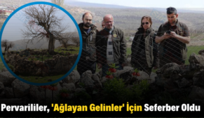 Pervarililer, ‘Ağlayan Gelinler’ İçin Seferber Oldu