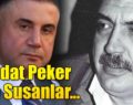 SEDAT PEKER VE SUSANLAR…