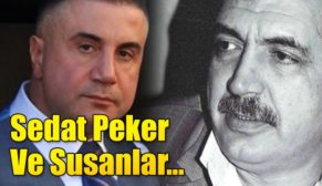 SEDAT PEKER VE SUSANLAR…