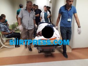 Bitlis’te şizofren olduğu öğrenilen bir genç, 79 yaşındaki annesini av
