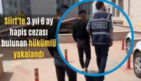 Siirt’te 3 yıl 6 ay hapis cezası bulunan hükümlü yakalandı