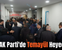 Siirt AK Parti’de Temayül Heyecanı