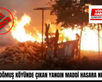 SİİRT AKDOĞMUŞ KÖYÜNDE ÇIKAN YANGIN MADDİ HASARA NEDEN OLDU