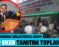 SİİRT BAĞIMSIZ MİLLETVEKİLİ ADAYI TANITIM TOPLANTISI