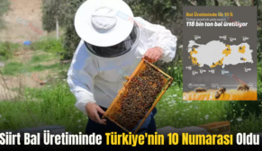 Siirt Bal Üretiminde Türkiye’nin 10 Numarası Oldu
