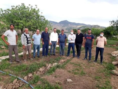 Siirt’in Baykan ilçesine bağlı Ulaşlı köyünde üreticiler tarafından üretilen 20 milyon sebze