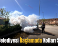 Siirt Belediyesi İlaçlamada Kolları Sıvadı