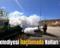 Siirt Belediyesi İlaçlamada Kolları Sıvadı