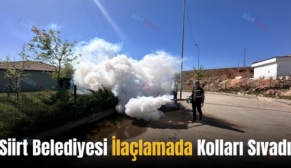 Siirt Belediyesi İlaçlamada Kolları Sıvadı