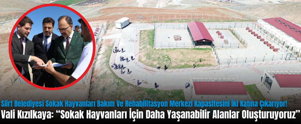 Siirt Belediyesi Sokak Hayvanları Bakım Ve Rehabilitasyon Merkezi Kapasitesini İki Katına Çıkarıyor!