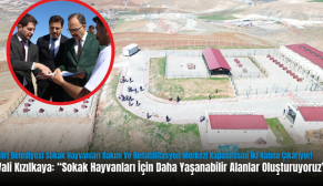 Siirt Belediyesi Sokak Hayvanları Bakım Ve Rehabilitasyon Merkezi Kapasitesini İki Katına Çıkarıyor!