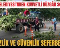 SİİRT BELEDİYESİ’NDEN KUVVETLİ RÜZGÂR SONRASI TEMİZLİK VE GÜVENLİK SEFERBERLİĞİ