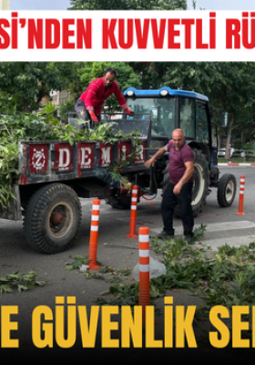 SİİRT BELEDİYESİ’NDEN KUVVETLİ RÜZGÂR SONRASI TEMİZLİK VE GÜVENLİK SEFERBERLİĞİ